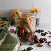 christmas simmer pot