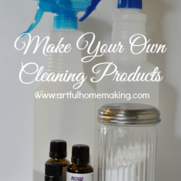 Make Your Own Cleaning Products {Day 14}