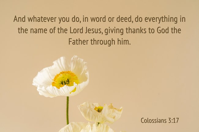 Colossians 3:17