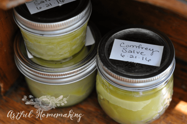 comfrey salve