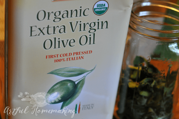 olive oil for comfrey salve