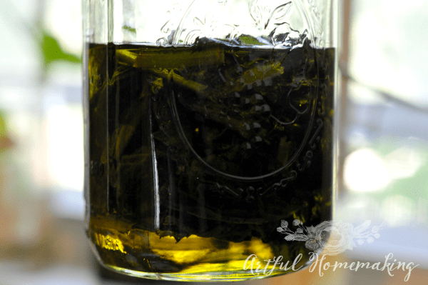 soaking comfrey leaves