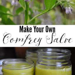 Make Your Own Comfrey Salve