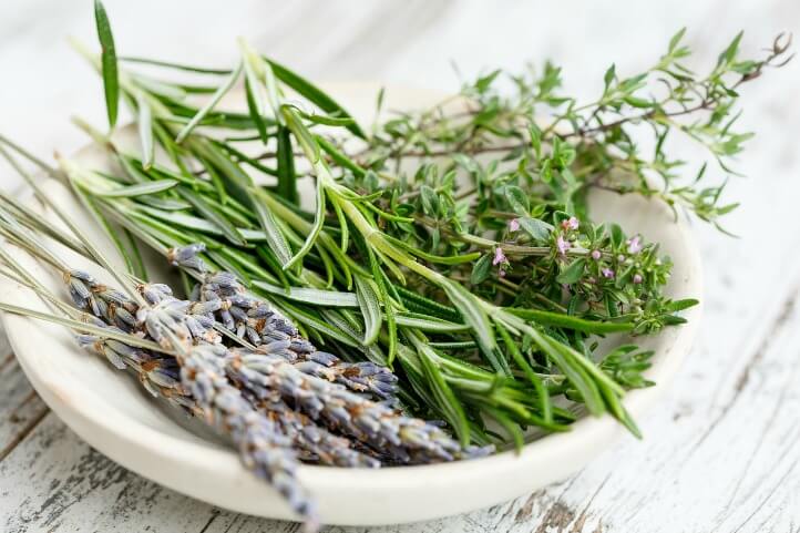 How to Grow Herbs