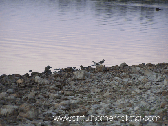 visiting the lake on date night