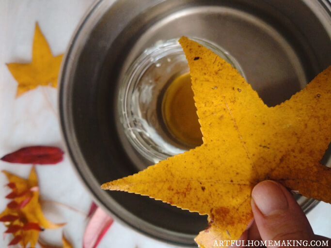 preserving fall leaves in beeswax