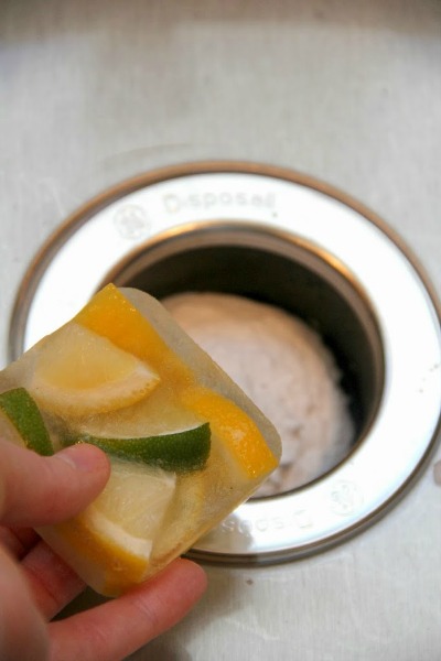 diy garbage disposal deodorizer