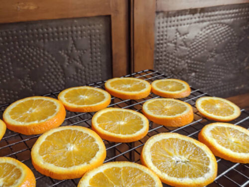 How to Make Dried Orange Slices in the Oven for Decor - Artful Homemaking