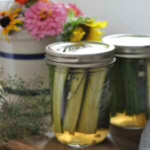 refrigerator pickles recipe