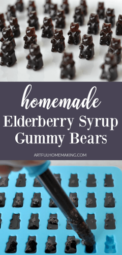 Elderberry Syrup Gummies