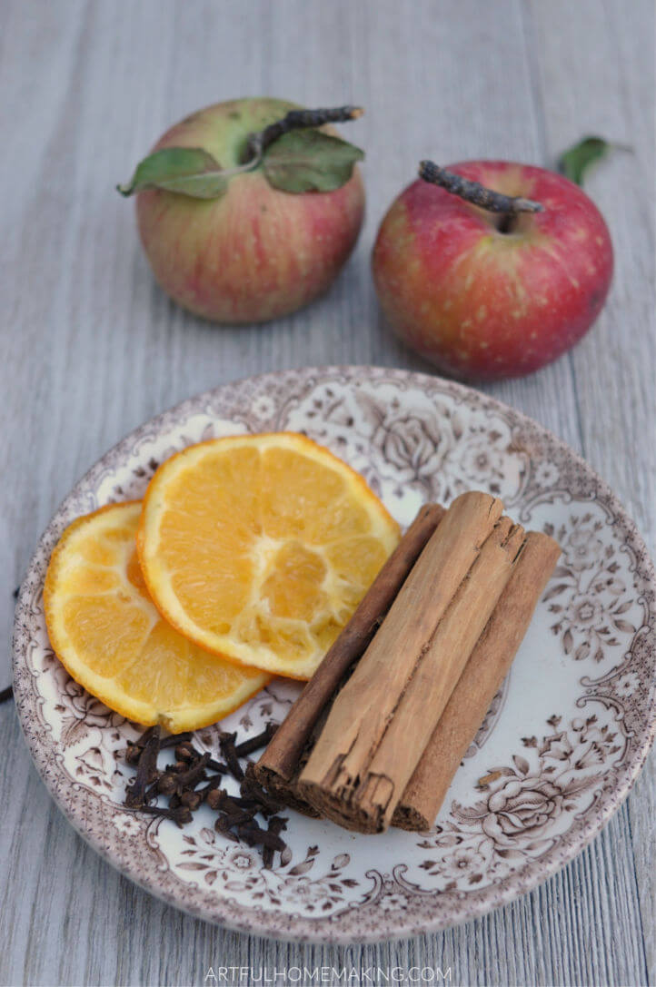 fall simmering potpourri recipe