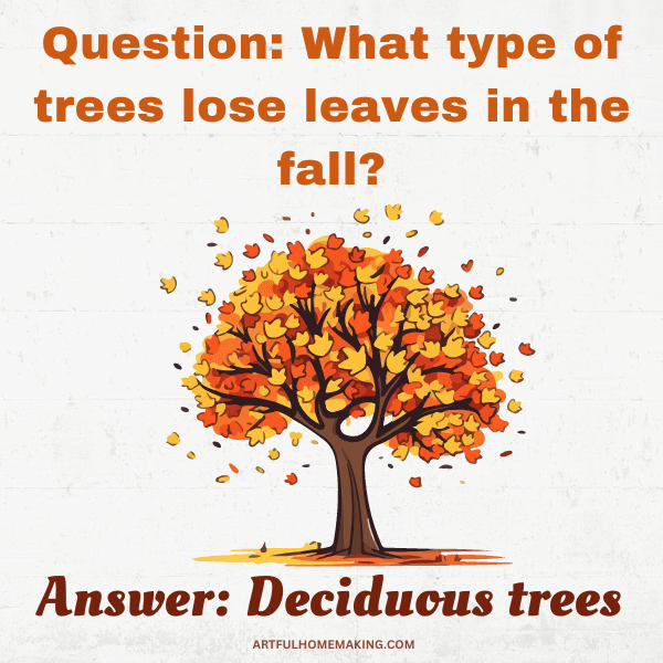 fall trivia questions about trees