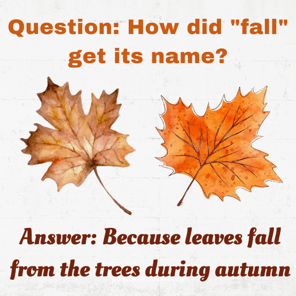 45 Fall Trivia Questions And Answers