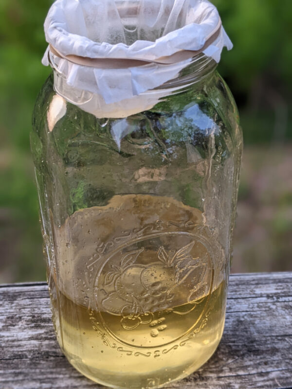 filtering sumac tea