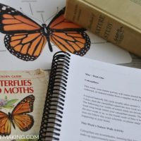 Exploring Nature with Children