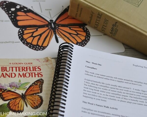 exploring nature with children