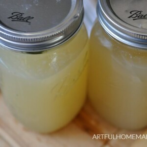 instant pot bone broth