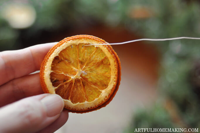 dried orange slice being strung on thin wire for wreath