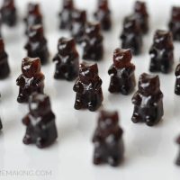 Elderberry Syrup Gummies