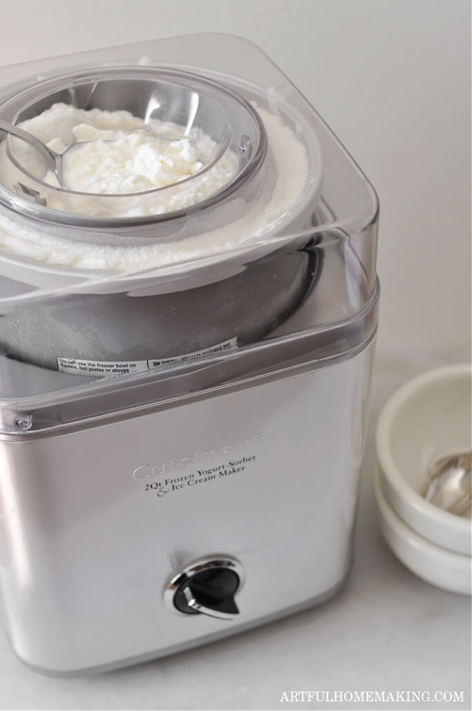 homemade ice cream maker