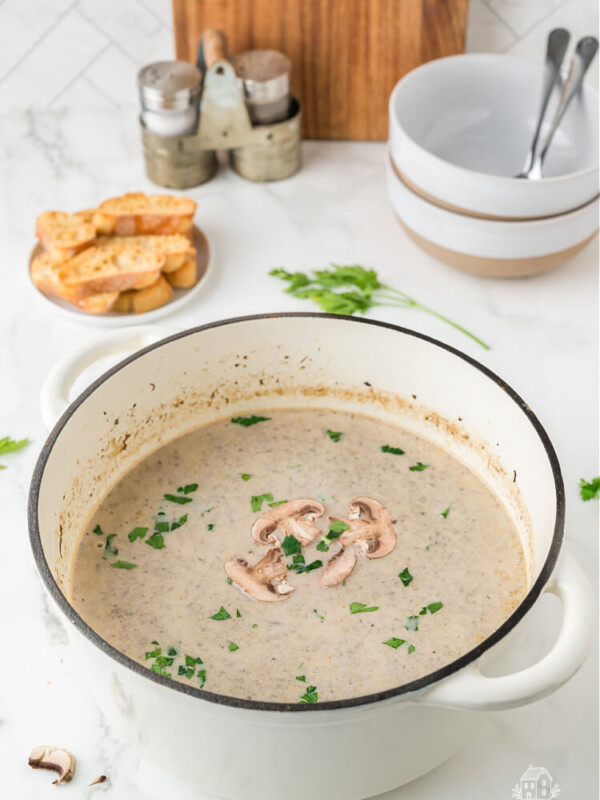 a white pot half filled with mushroom soup