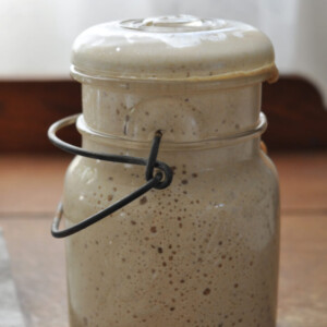 sourdough starter from scratch