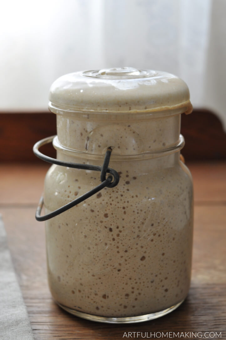 sourdough starter from scratch