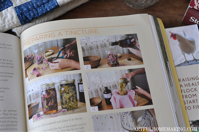 Homegrown Herbs herbal book
