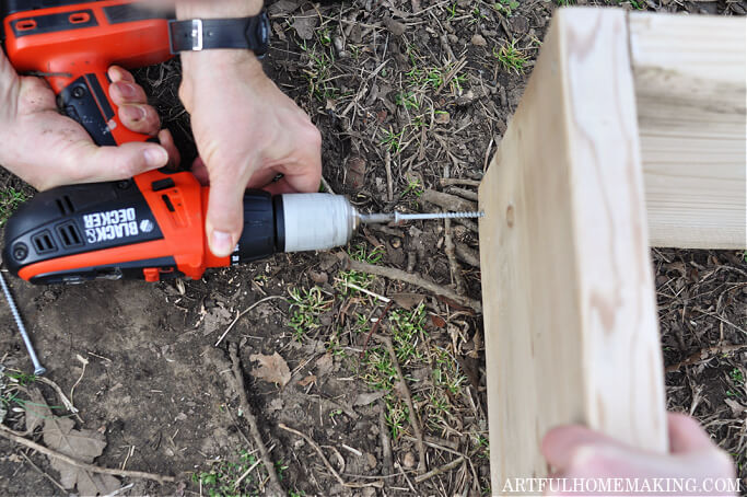 raised garden bed
