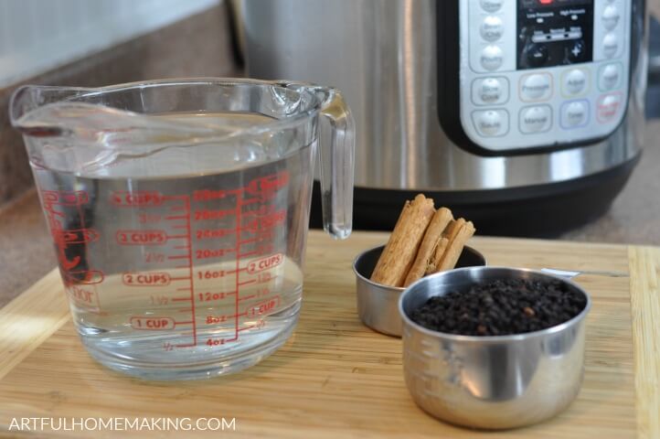 instant pot elderberry syrup