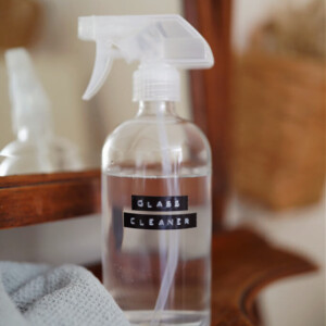 homemade glass cleaner
