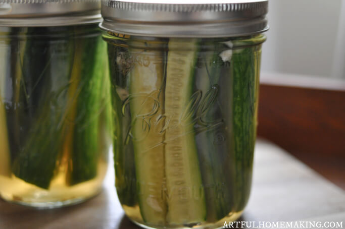 Refrigerator Pickles Recipe with Garlic and Dill