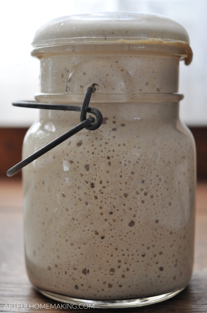 how to make sourdough starter from scratch