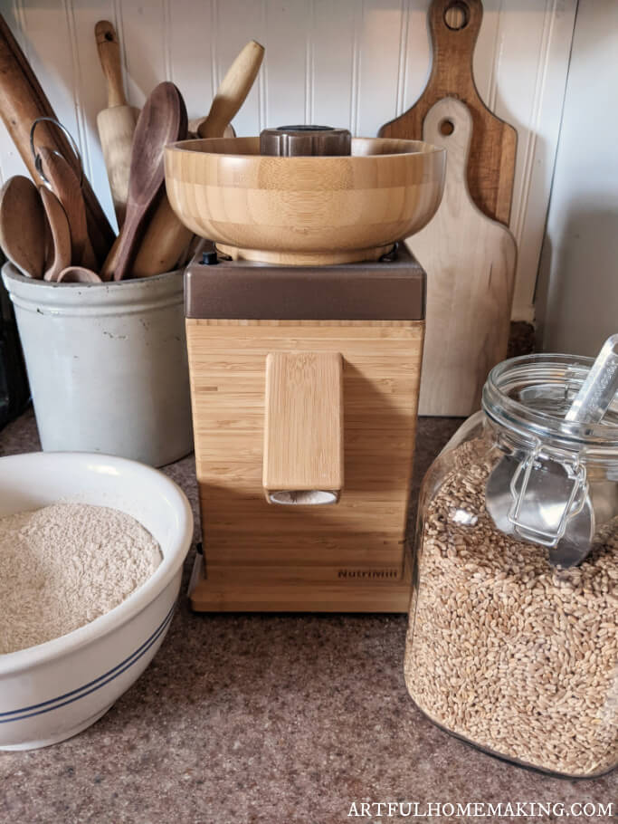 2 Ways to Make Flour at Home  Blender vs Grain Mill 