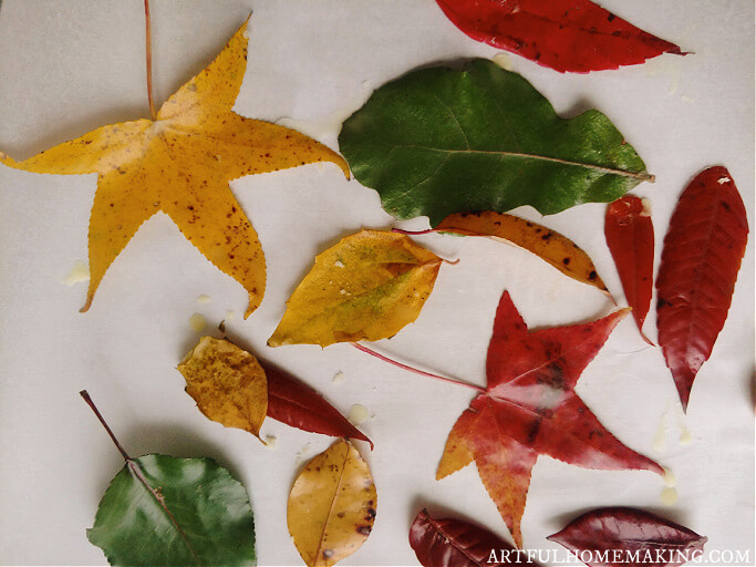 dip leaves in beeswax to preserve