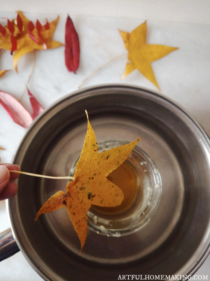 dip leaves in beeswax for fall