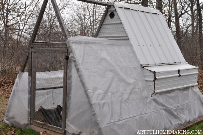 chicken tractor in winter