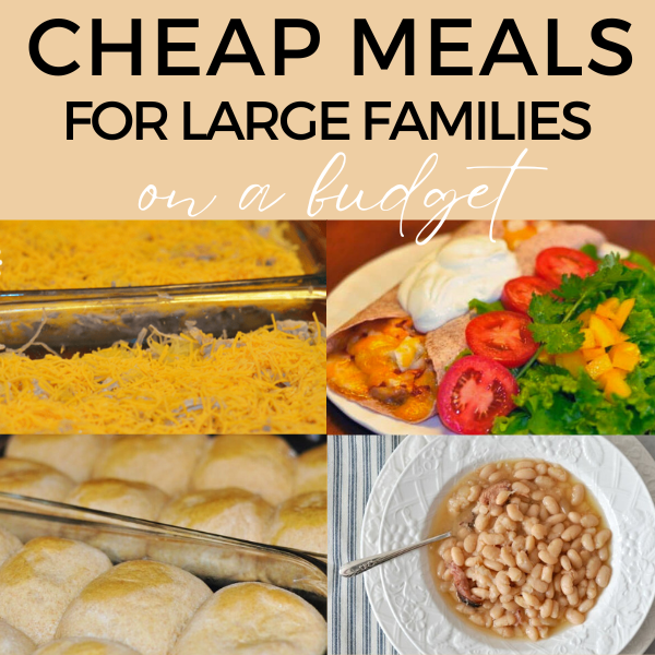 Cheap meals for large families store