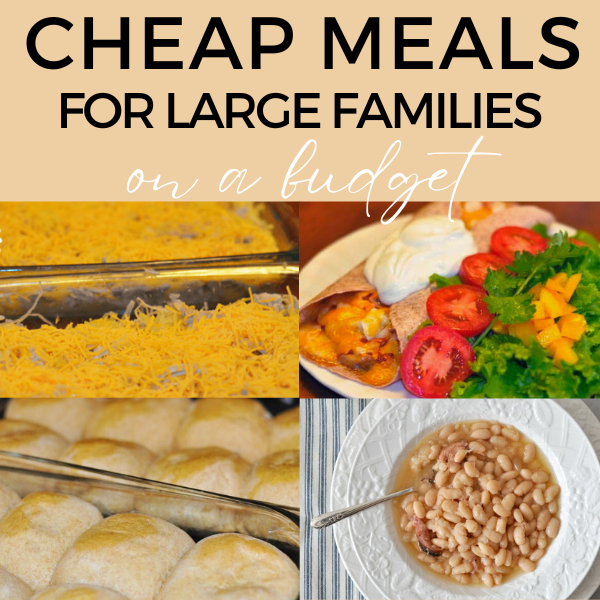 35 Best Ideas for Large Family Meals on a Budget