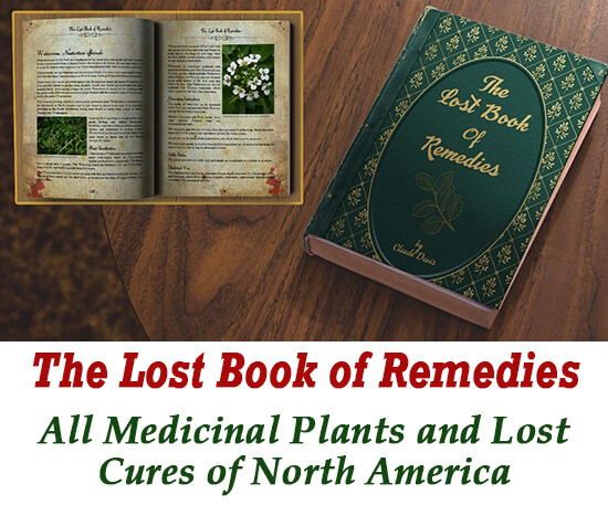 the lost book of remedies