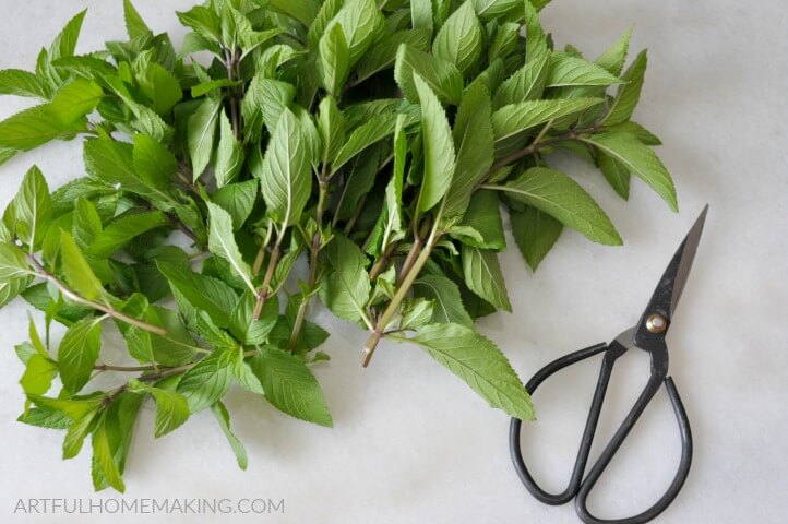 how to make mint tea