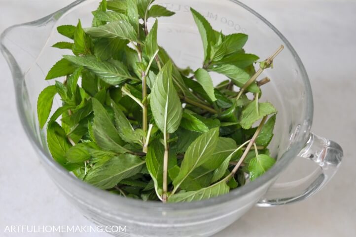 how to make fresh mint tea