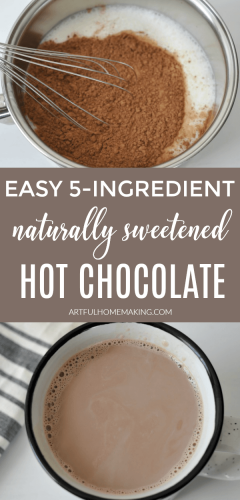 easy healthy hot cocoa recipe
