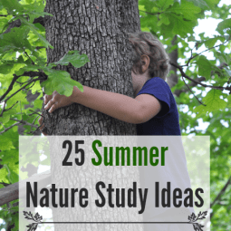 25 Summer Nature Study Ideas