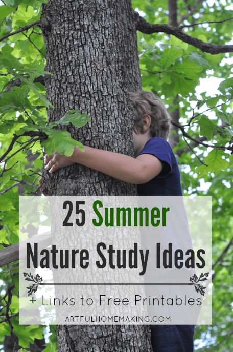 25 Summer Nature Study Ideas