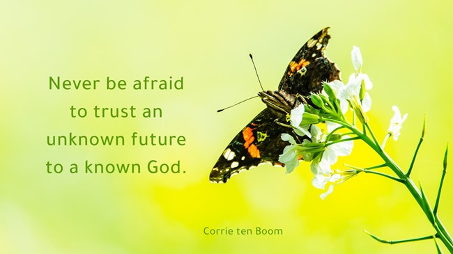 Corrie ten boom quote never be afraid