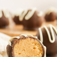 a chocolate peanut butter ball cut in half