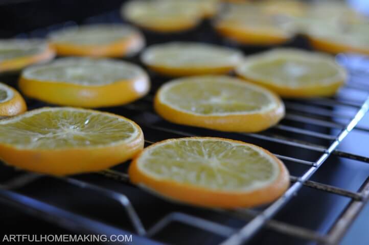 dried orange slices