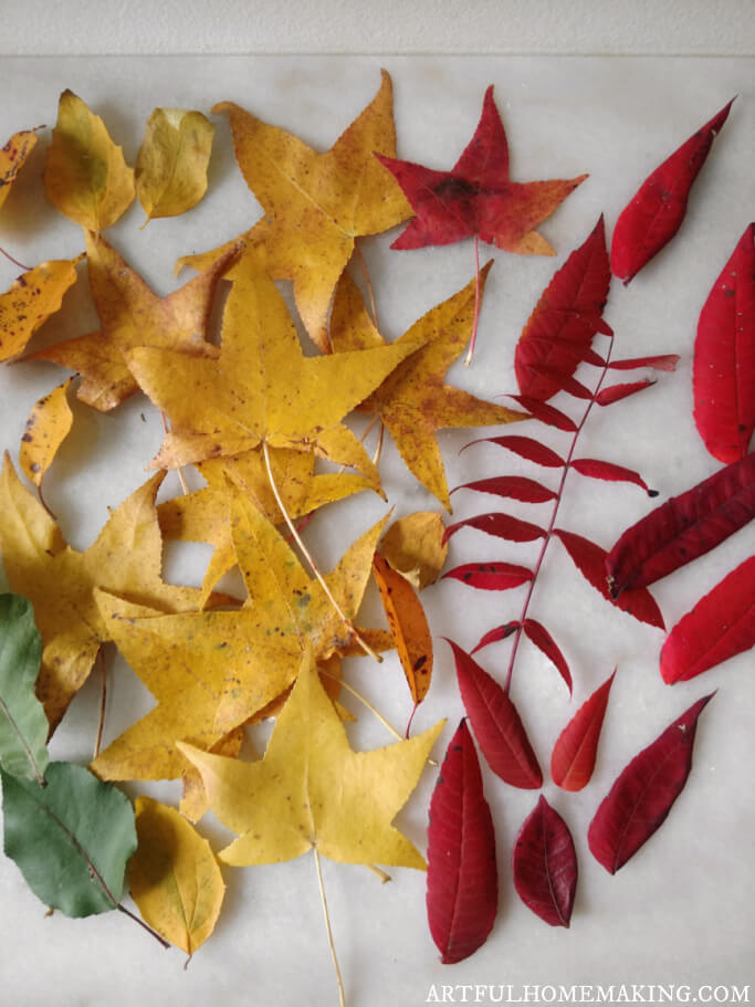 fall leaves to dip in beeswax