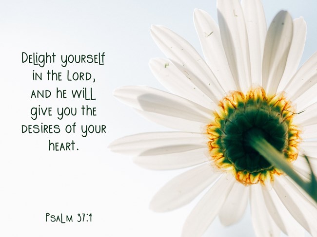 Psalm 37:1